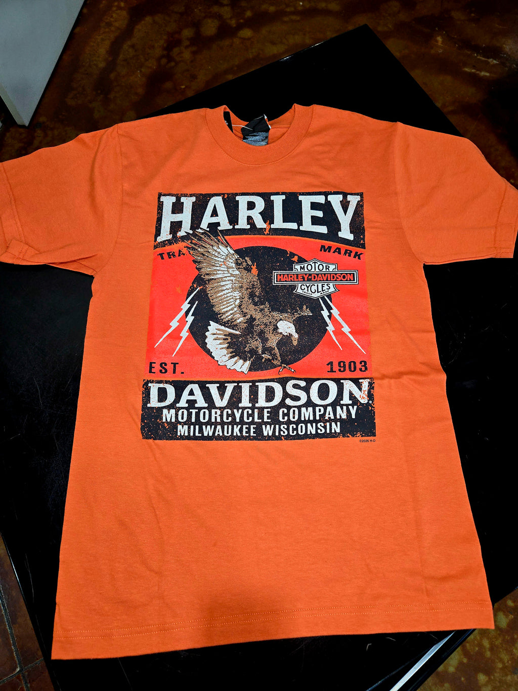 VINTAGE VOLTAGE EAGLE TEE