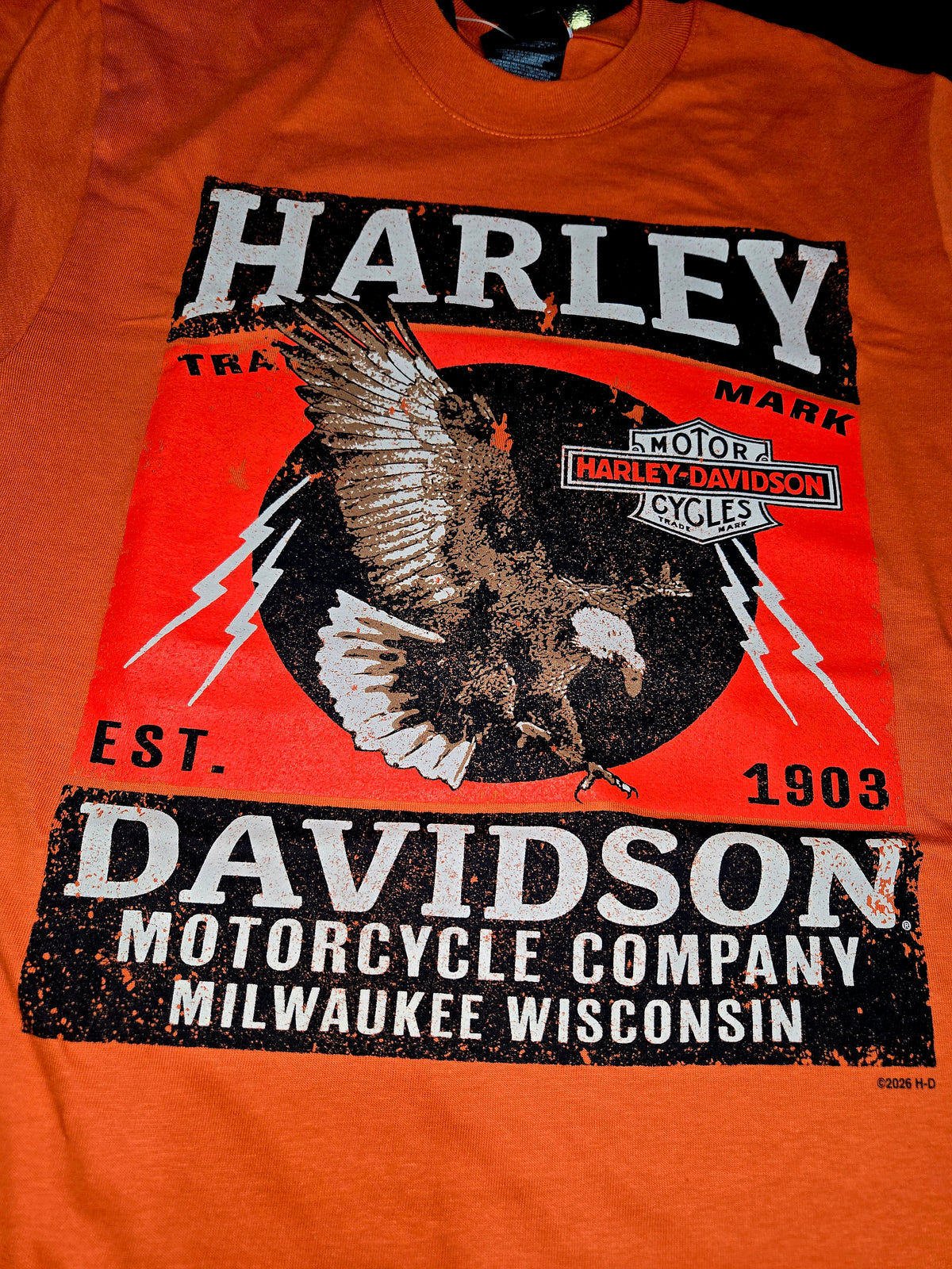 VINTAGE VOLTAGE EAGLE TEE