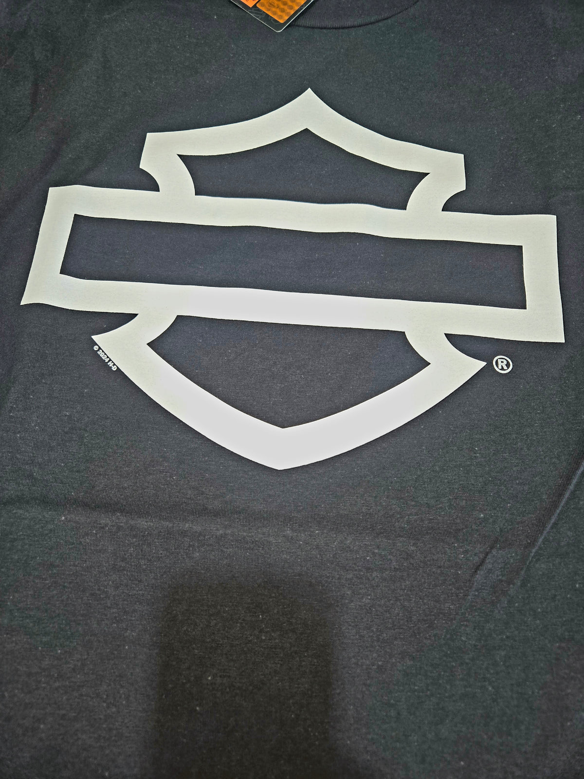 SARASOTA UNCONDITIONAL SURRENDER B&S TEE